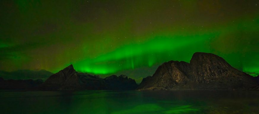 Dr. Andreas Urban - Reine