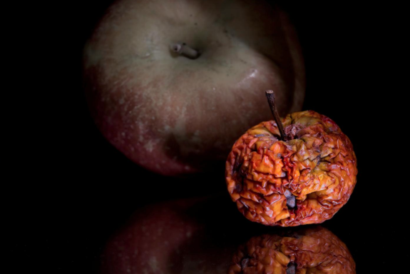 Q2 - Gegensätze und Kontraste