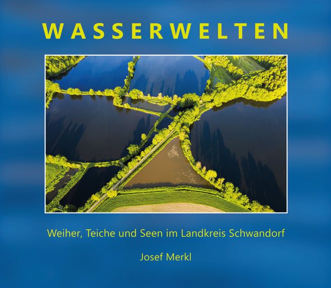 Michael Altlmaier - Mein Ast