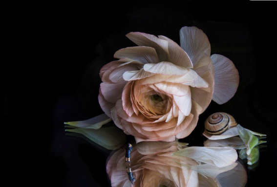 Q4 - Verborgene Schönheiten