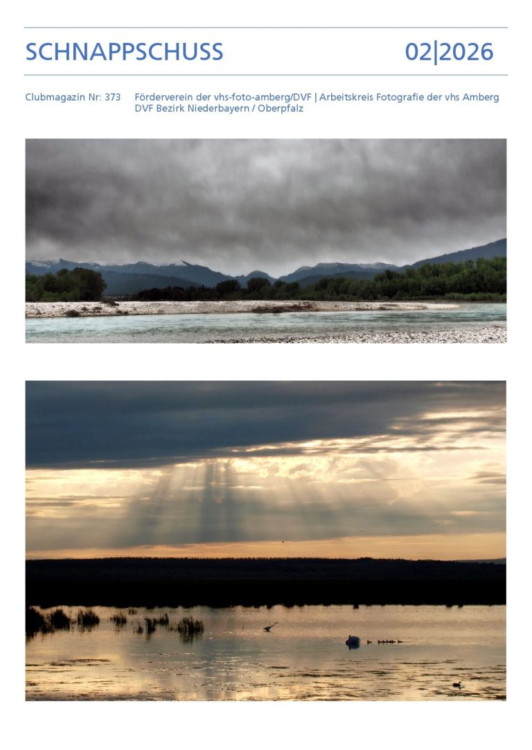 NEU: Februar-Ausgabe online